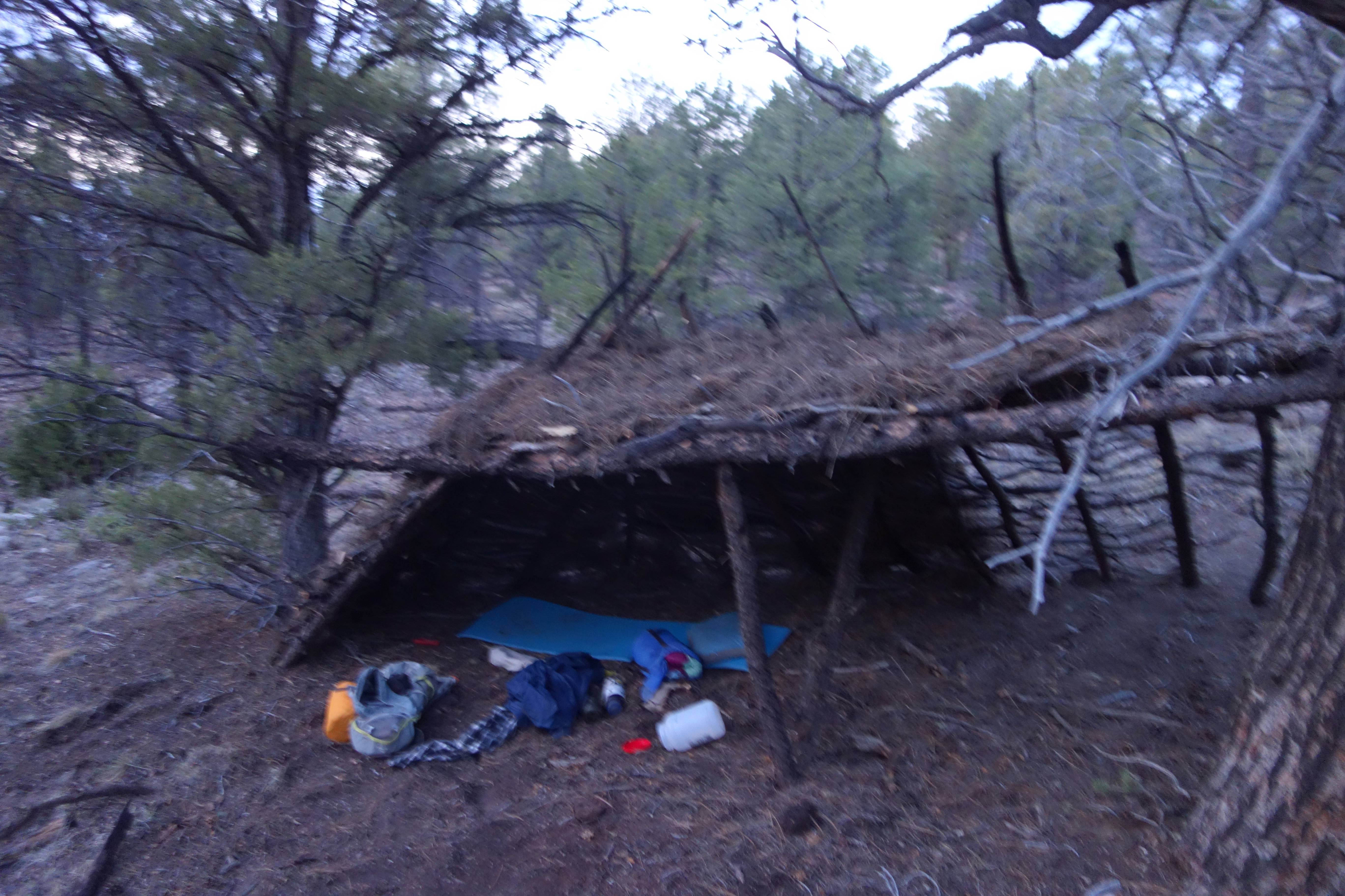 A structure composed of pine logs and pine needles.